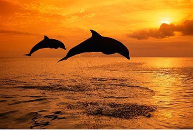 单人沙盒战术射击游戏《黑色一号：血盟兄弟》公布